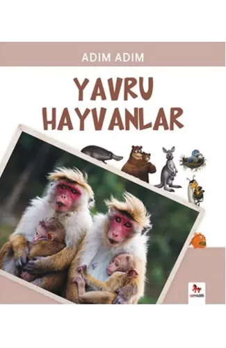 Adım Adım - Yavru Hayvanlar