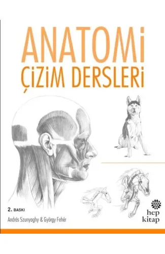 Anatomi Çizim Dersleri