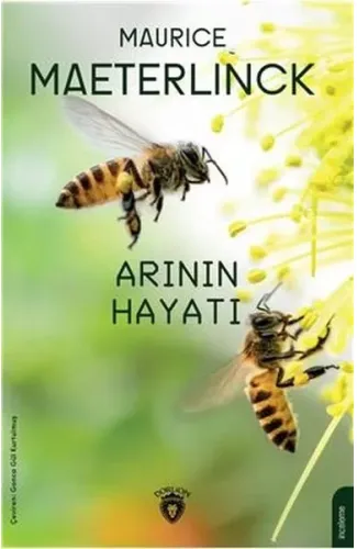 Arının Hayatı