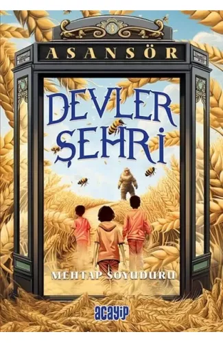 Asansör- 3 Devler Şehri