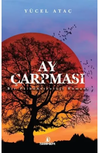 Ay Çarpması - Bir PsikoAstroloji Romanı