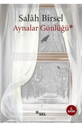 Aynalar Günlüğü