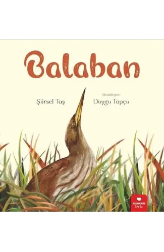 Balaban