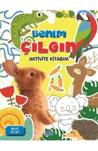 Benim Çılgın Aktivite Kitabım Mavi Kitap