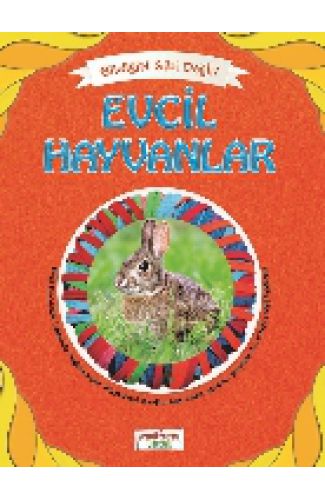 Bildiğin Gibi Değil - Evcil Hayvanlar