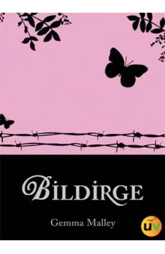 Bildirge