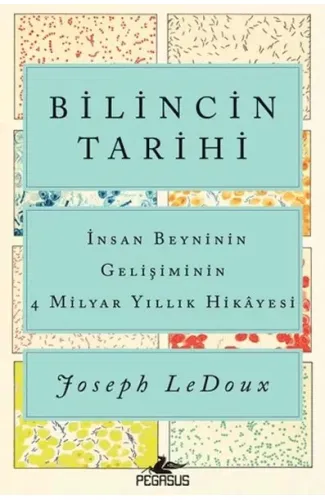 Bilincin Tarihi: İnsan Beyninin Gelişiminin 4 Milyar Yıllık Hikayesi