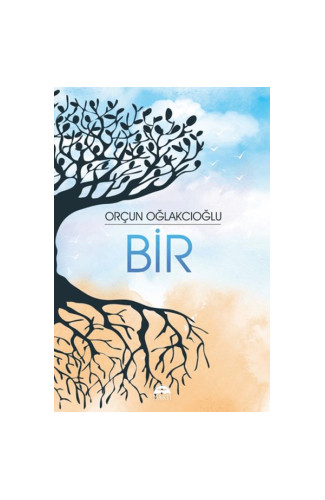 Bir