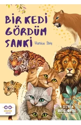 Bir Kedi Gördüm Sanki