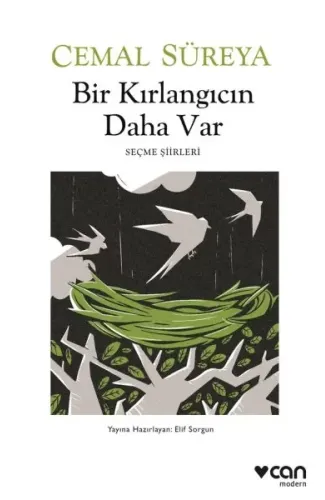 Bir Kırlangıcın Daha Var