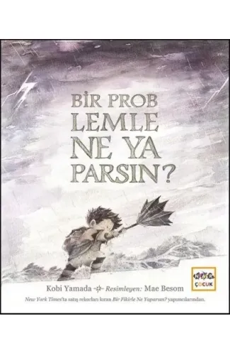 Bir Problemle Ne Yaparsın? (Ciltli)