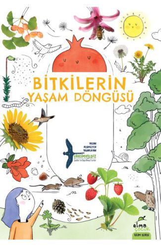 Bitkilerin Yaşam Döngüsü