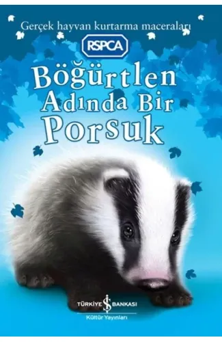 Böğürtlen Adında Bir Porsuk