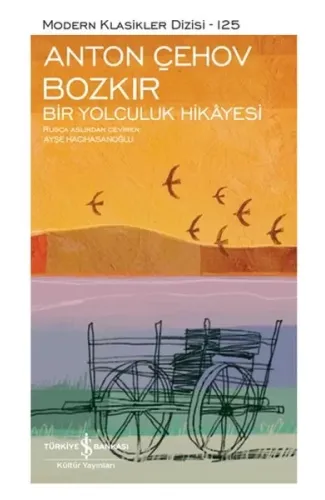 Bozkır Bir Yolculuk Hikayesi - Modern Klasikler Dizisi (Şömizli)