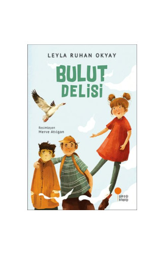 Bulut Delisi