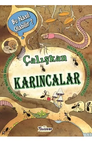 Çalışkan Karıncalar - Bu Nasıl Olabilir?