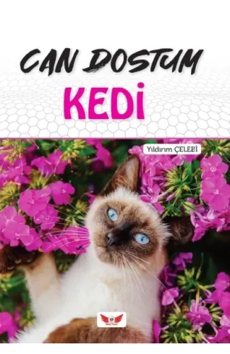 Can Dostum Kedi