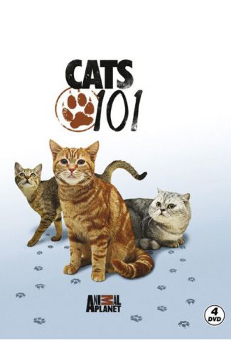 Cats 101 - Kediler