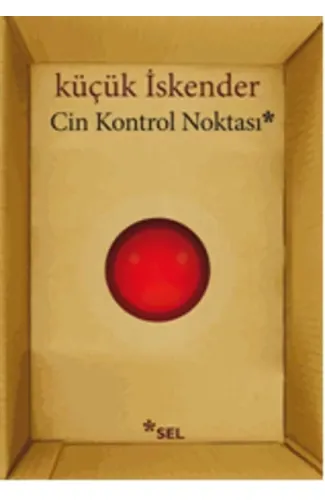 Cin Kontrol Noktası