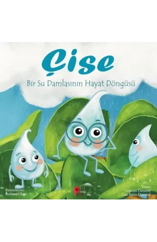 Çise: Bir Su Damlasının Hayat Döngüsü