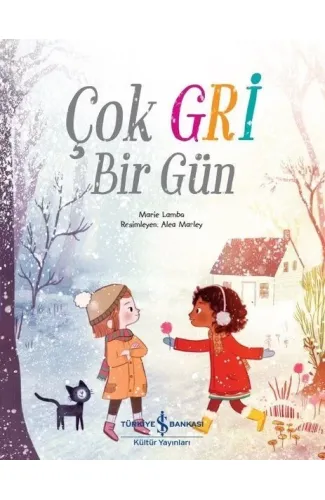 Çok Gri Bir Gün