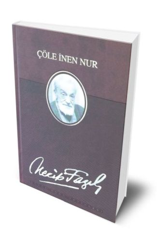 Çöle İnen Nur (Deri Ciltli)