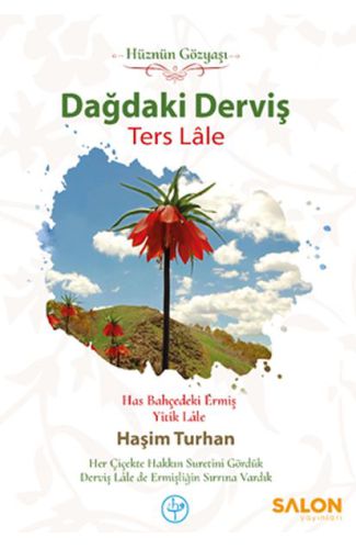 Dağdaki Derviş Ters Lale