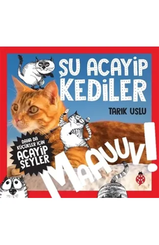 Daha Küçükler İçin Şu Acayip Kediler