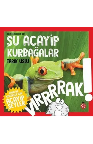 Daha Küçükler İçin Şu Acayip Kurbağalar