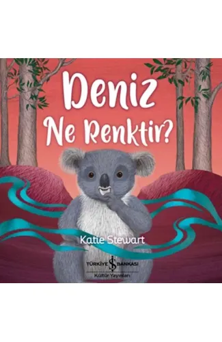 Deniz Ne Renktir?