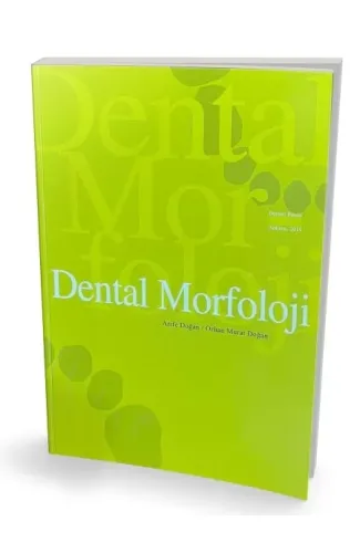 Dental Morfoloji