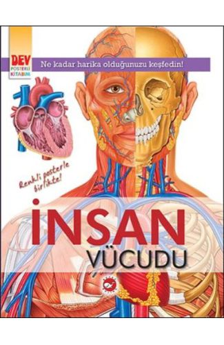 Dev Posterli Kitabım - İnsan Vücudu