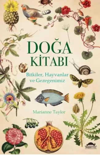 Doğa Kitabı - Bitkiler, Hayvanlar ve Gezegenimiz