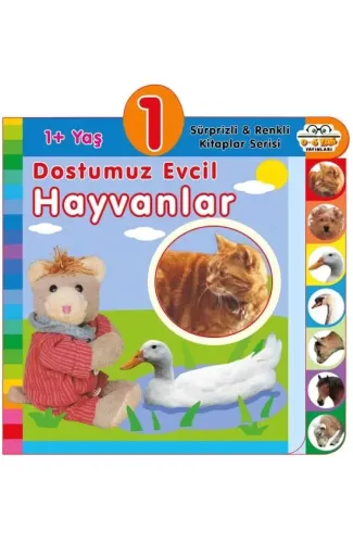 Dostumuz Evcil Hayvanlar (1+Yaş)