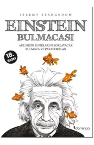 Einstein Bulmacası  Aklınızın Sınırlarını Zorlayacak Bulmaca ve Paradokslar