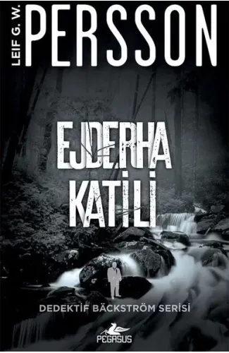 Ejderha Katili-Dedektif Backstrom Serisi 2