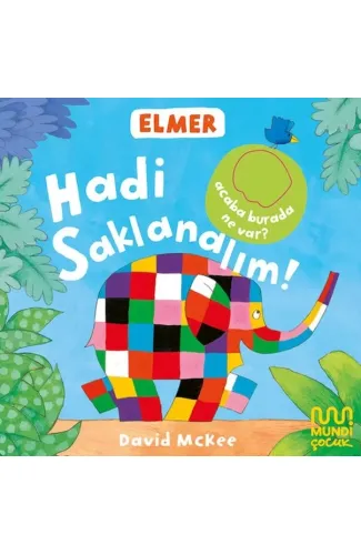 Elmer Kütüphanesi Hadi Saklanalım!