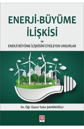 Enerji-Büyüme İlişkisi ve Enerji Büyüme İlişkisini Etkileyen Unsurlar