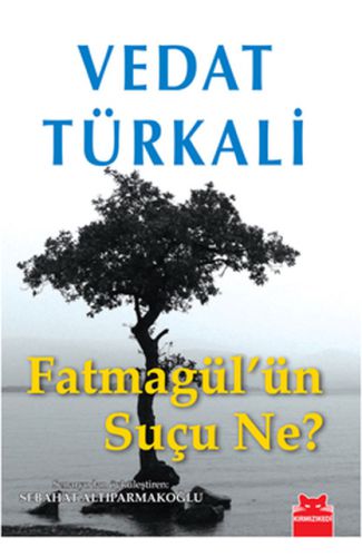 Fatmagül'ün Suçu Ne?