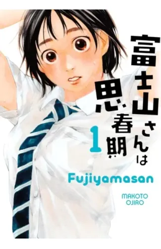 Fujiyamasan 1