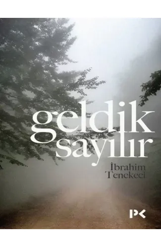 Geldik Sayılır