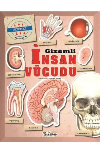 Gizemleri Öğrenelim - Gizemli İnsan Vücudu