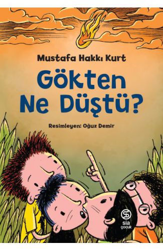 Gökten Ne Düştü?