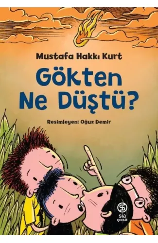 Gökten Ne Düştü?