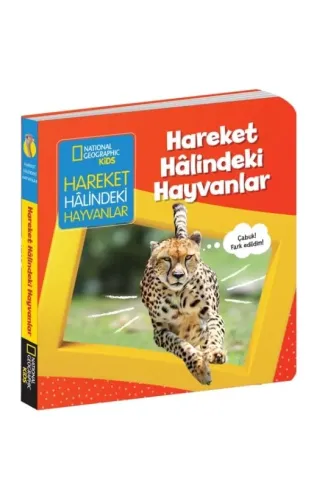 Hareket Halindeki Hayvanlar - İlk Kitaplarım Serisi