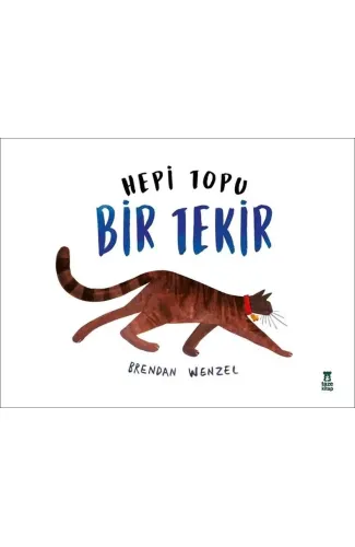 Hepi Topu Bir Tekir