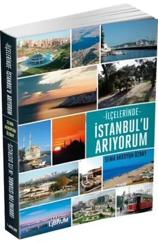 İlçelerinde İstanbul'u Arıyorum