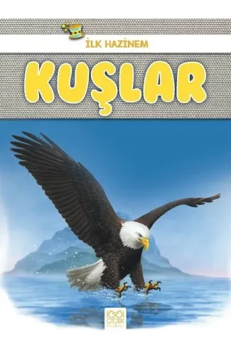 İlk Hazinem - Kuşlar