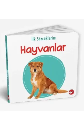 İlk Sözcüklerim - Hayvanlar