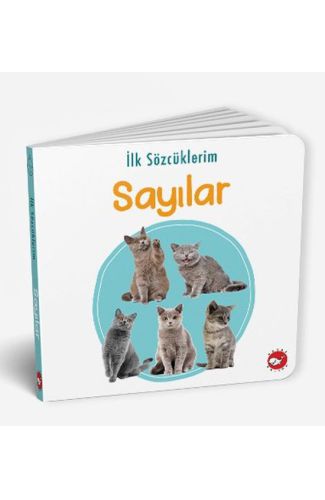 İlk Sözcüklerim - Sayılar